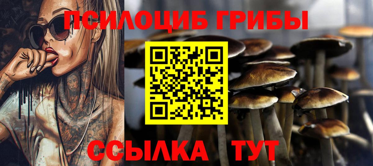 Галлюциногенные грибы GOLDEN TEACHER Вязники