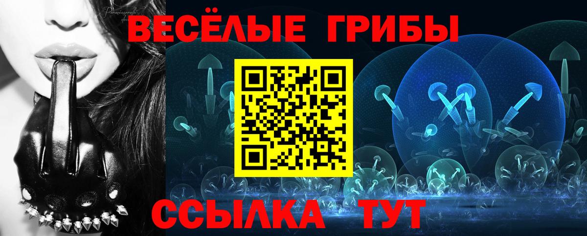 Вязники  Псилоцибиновые грибы Magic Shrooms  Псилоцибиновые грибы Cubensis  Вход с VPN 